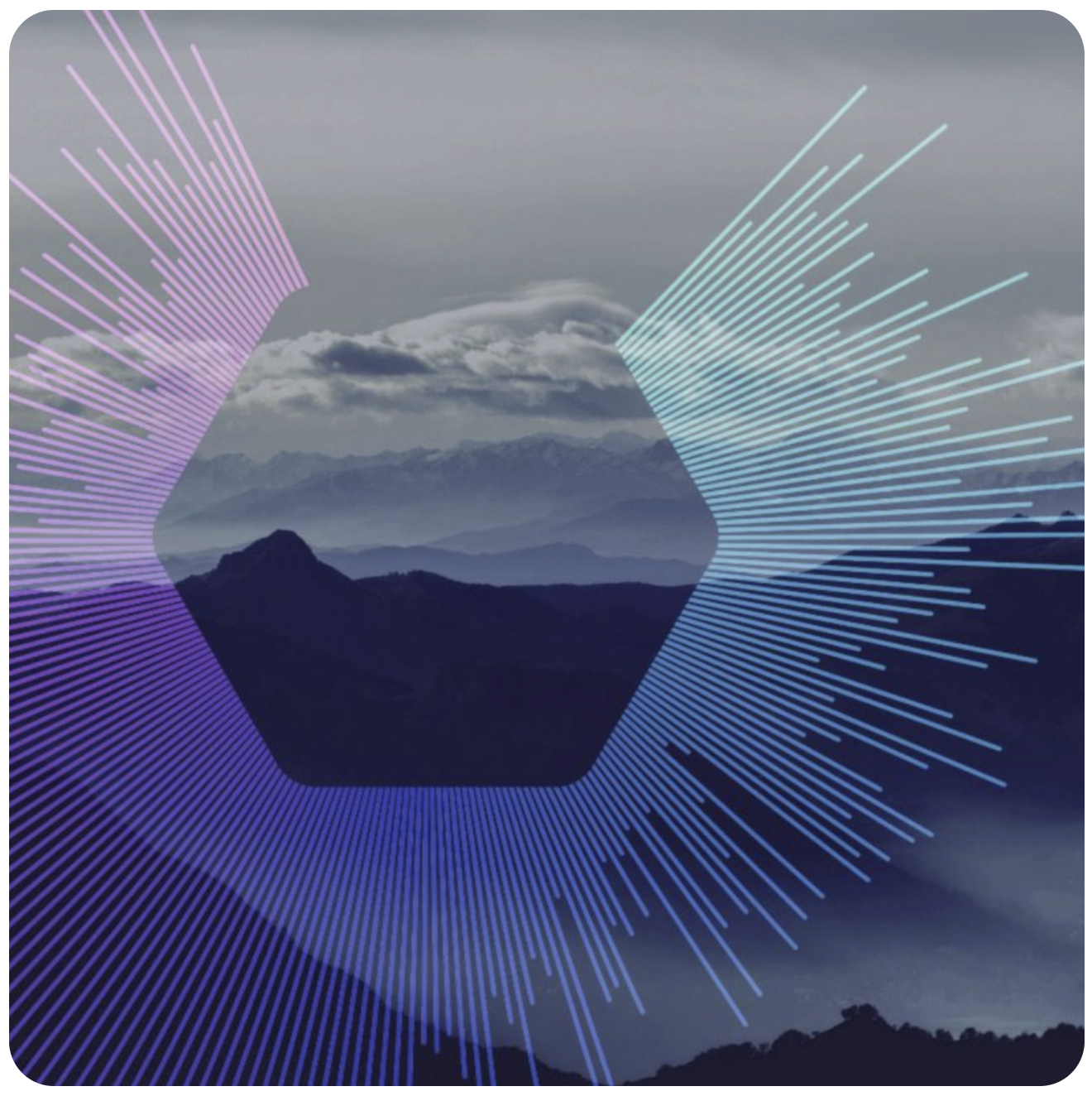 Der Code des Staates: Was die Öffnung der ELSTER-Basis bedeutet